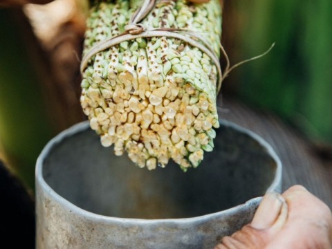 ลอดช่องสยามวัตถุดิบจากธรรมชาติ